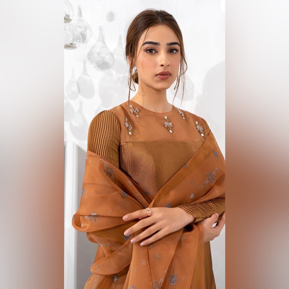 New, Gorgeous Designer Pakistani Formal Embellished Long Dress & Pants, Lulusar